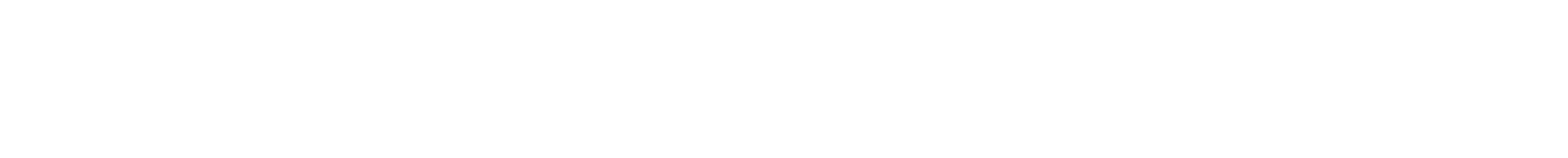 bs logo